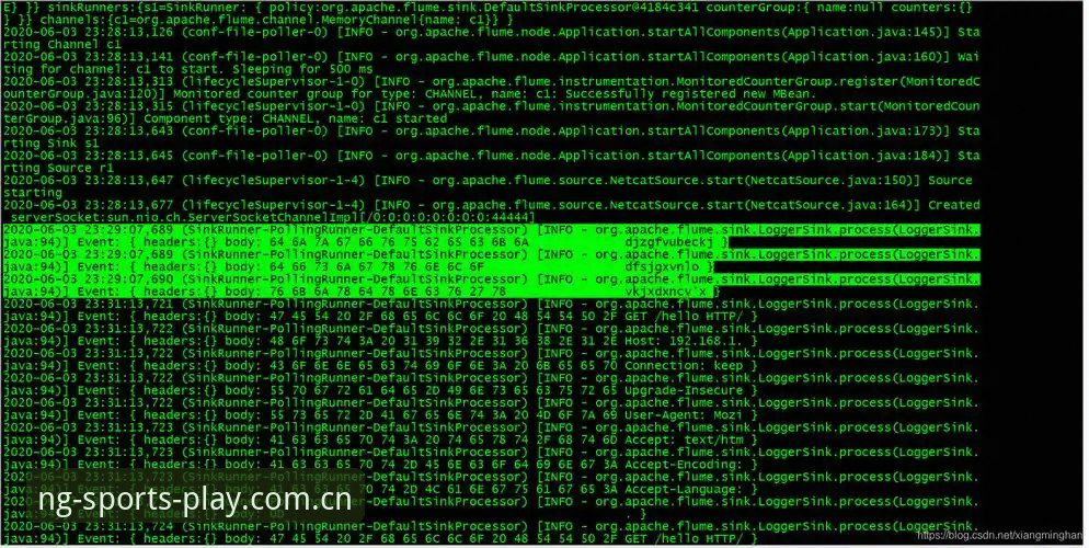NG体育平台移动端深度解析：从下载到使用的完整指南